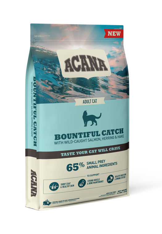 Bountiful Catch